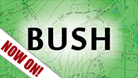 bush